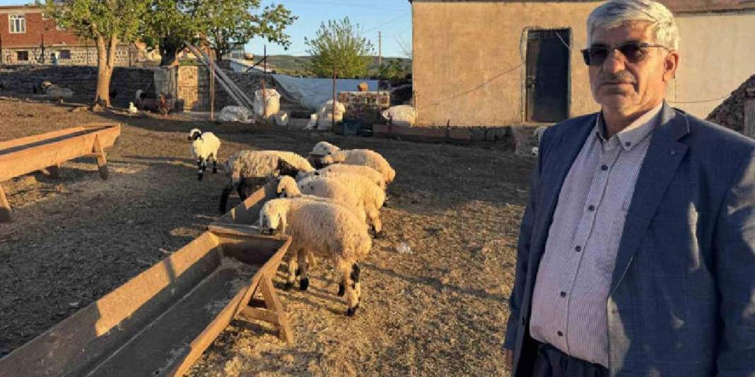 Tek ekmek kapıları hayvancılık! Meşakkatli ve zorlu yolculukları başladı 2